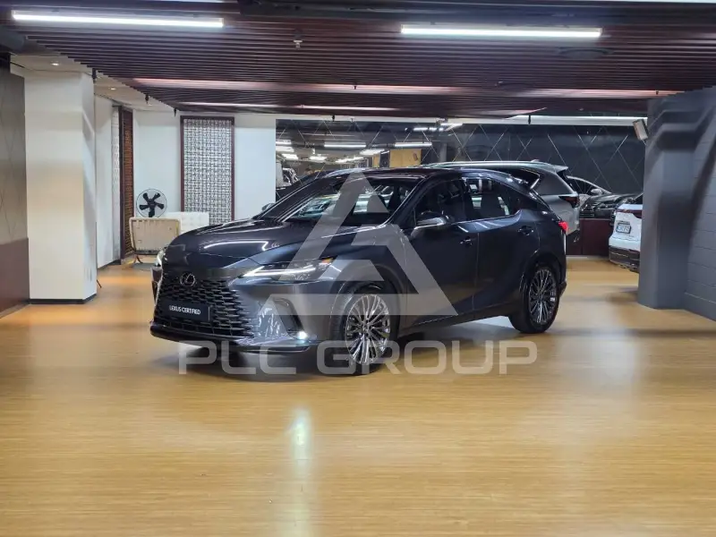 2025 Lexus RX