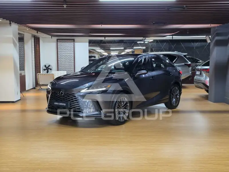 2025 Lexus RX