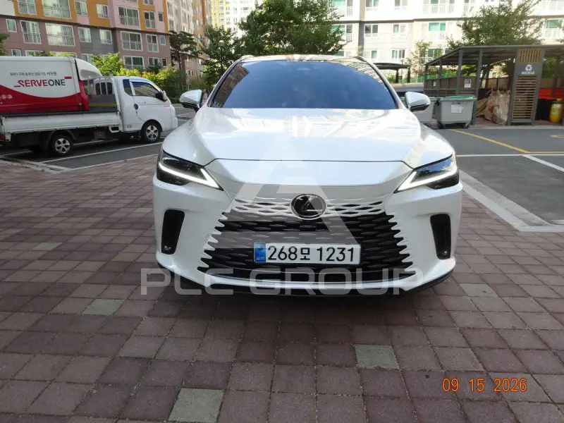 2025 Lexus RX