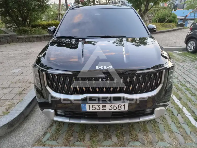 2025 KIA Carnival