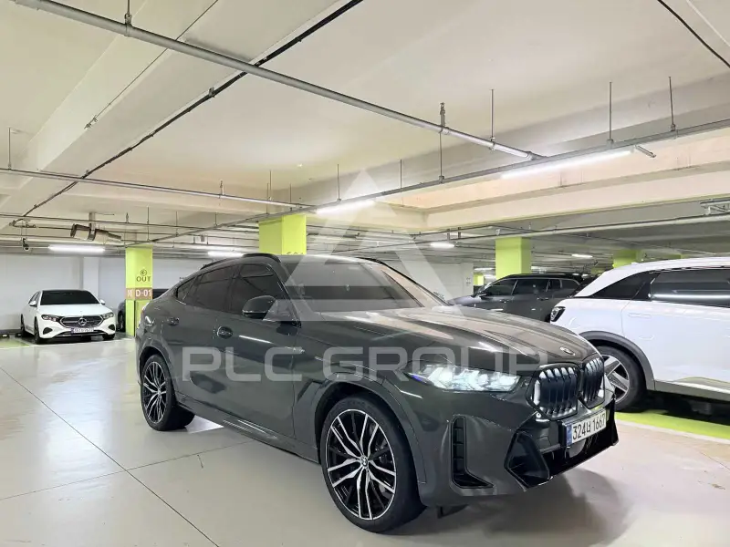 2026 BMW X6