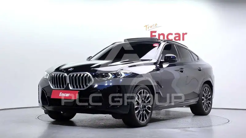 2026 BMW X6