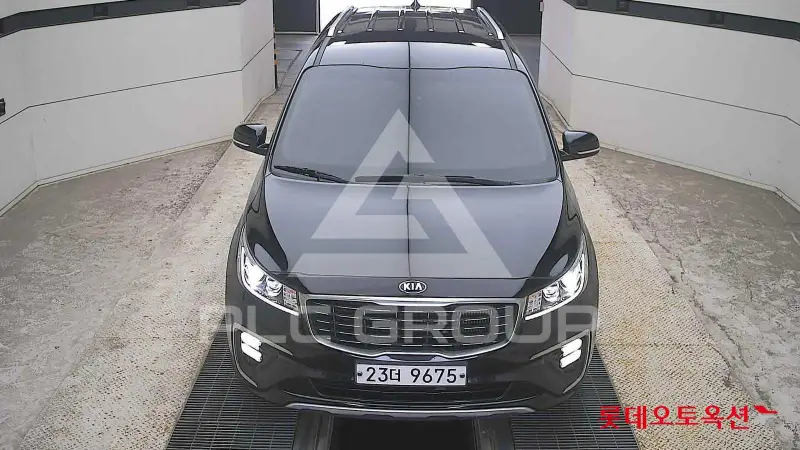 2019 KIA Carnival
