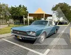 1966 Ford Thunderbird