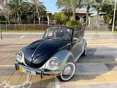 1975 Volkswagen BEETLE
