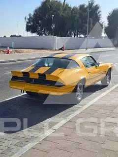 1979 Chevrolet Camaro