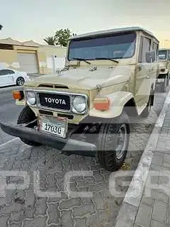 1979 Toyota FJ Cruiser