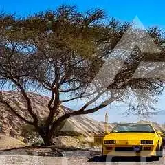 1988 Chevrolet Camaro