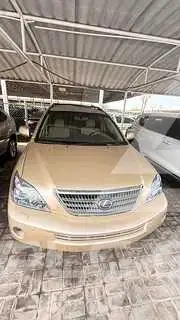 2007 Lexus RX