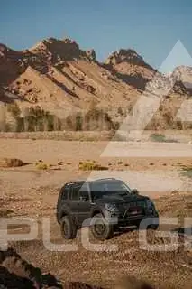 2009 Mitsubishi PAJARO