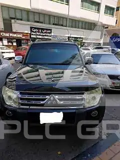 2009 Mitsubishi PAJARO
