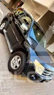 2009 Mitsubishi PAJARO
