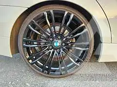 2009 BMW 320