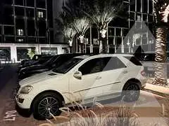 2009 Mercedes Benz M-Class
