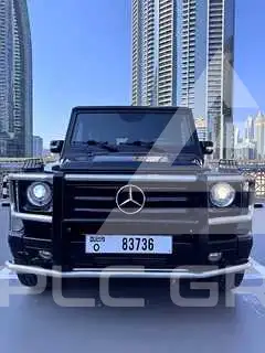 2009 Mercedes Benz G-Class