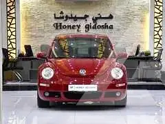 2009 Volkswagen BEETLE