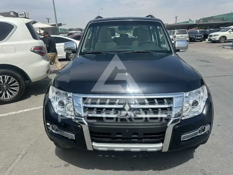 2010 Mitsubishi PAJARO