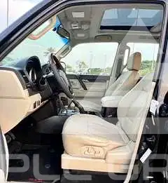 2010 Mitsubishi PAJARO