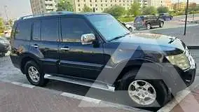 2010 Mitsubishi PAJARO