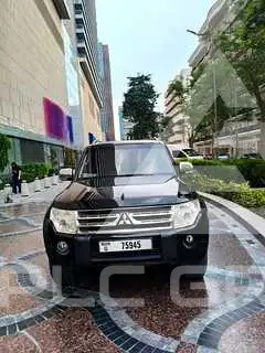 2010 Mitsubishi PAJARO