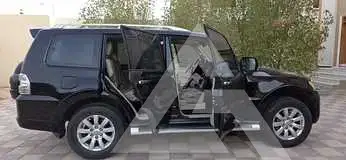 2010 Mitsubishi PAJARO