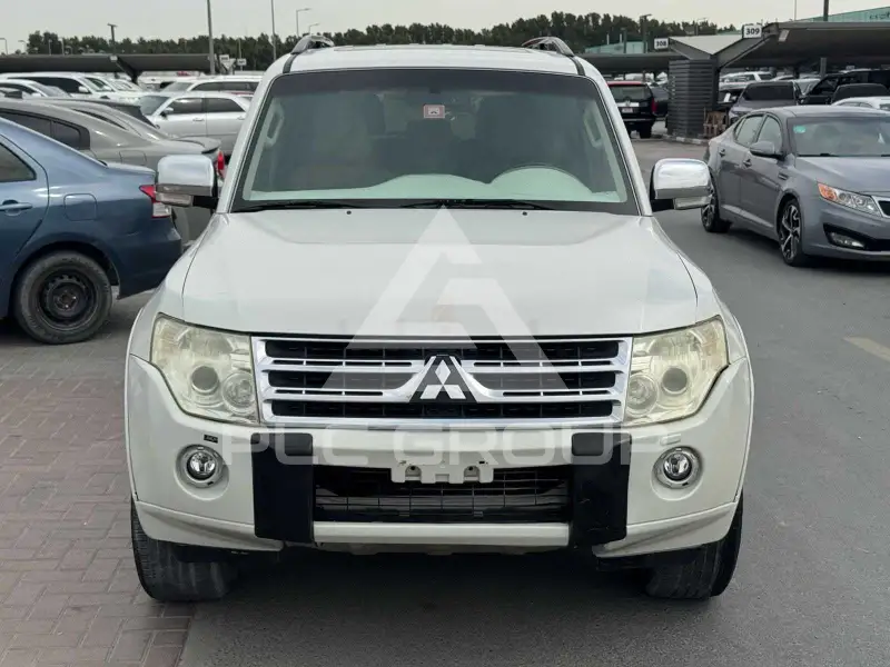 2010 Mitsubishi PAJARO