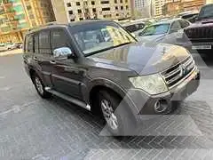 2010 Mitsubishi PAJARO