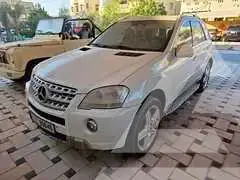 2010 Mercedes Benz M-Class