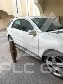 2010 Mercedes Benz M-Class