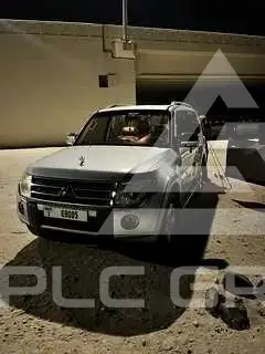 2011 Mitsubishi PAJARO