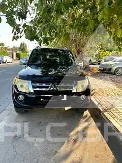 2012 Mitsubishi PAJARO