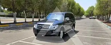 2013 Mitsubishi PAJARO