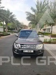 2013 Mitsubishi PAJARO