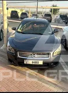 2013 Nissan MAXIMA