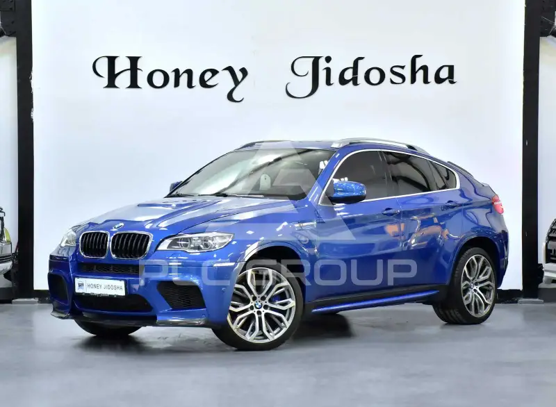 2013 BMW X6
