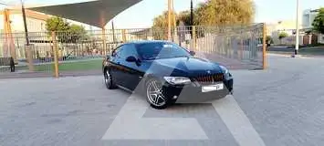 2013 BMW 320