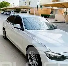 2013 BMW 320