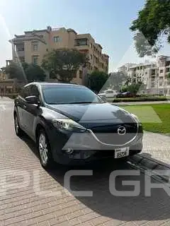 2013 Mazda CX-9