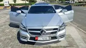 2013 Mercedes Benz CLS-Class