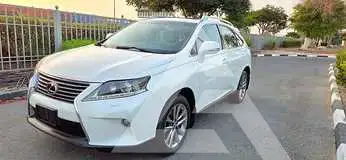 2013 Lexus RX