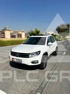 2013 Volkswagen Tiguan