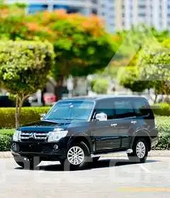 2014 Mitsubishi PAJARO