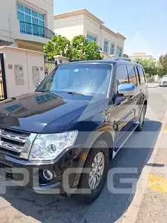 2014 Mitsubishi PAJARO