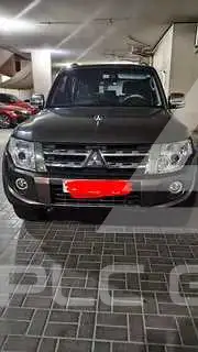 2014 Mitsubishi PAJARO