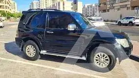 2014 Mitsubishi PAJARO