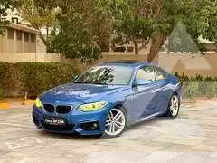 2014 BMW 218