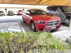 2014 Dodge CHARGER