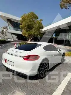 2014 Porsche Cayman