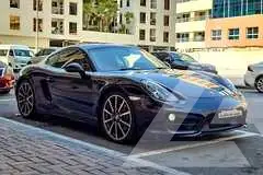 2014 Porsche Cayman