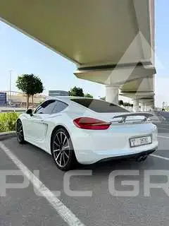 2014 Porsche Cayman